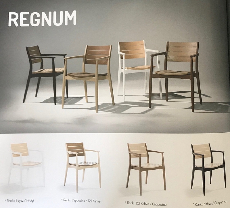 Regnum Novussi Koltuk Sandalye Kollu Sandalyeler Masa Sandalye Tabure Koltuk Plastik Cam Bar Polyester Merdiven Utu Masasi Camasirlik